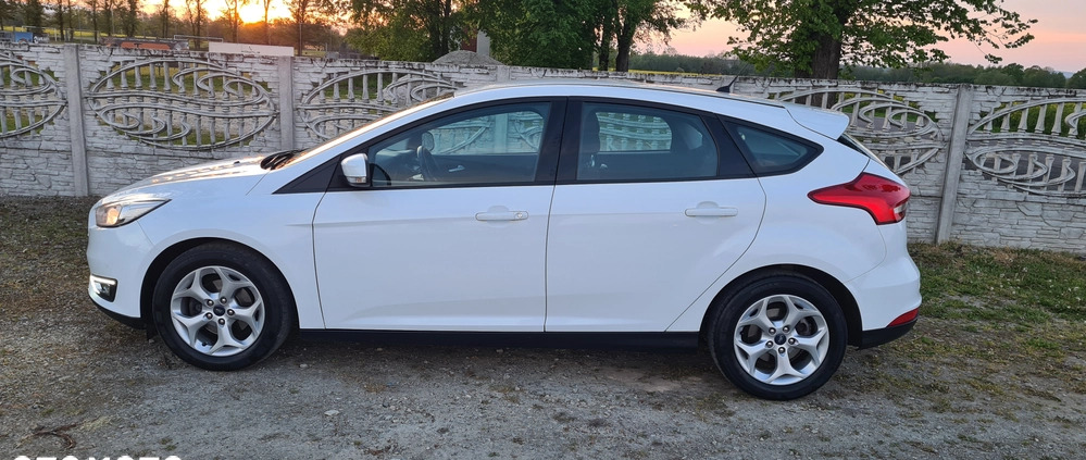 Ford Focus cena 31900 przebieg: 136500, rok produkcji 2016 z Paczków małe 137